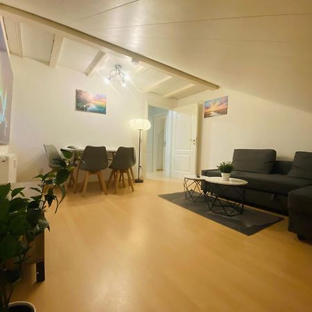 Deluxe Business Suite Mit Netflix Premium & Parkplatz, Zentral Zu Audi & Schwarz Gruppe With 2 Bedrooms Bad Friedrichshall Exteriör bild