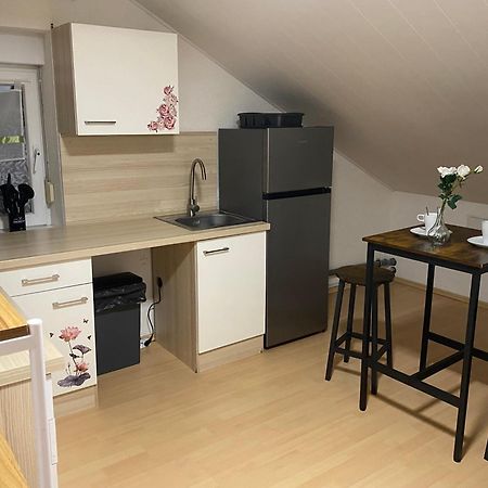 Deluxe Business Suite Mit Netflix Premium & Parkplatz, Zentral Zu Audi & Schwarz Gruppe With 2 Bedrooms Bad Friedrichshall Exteriör bild