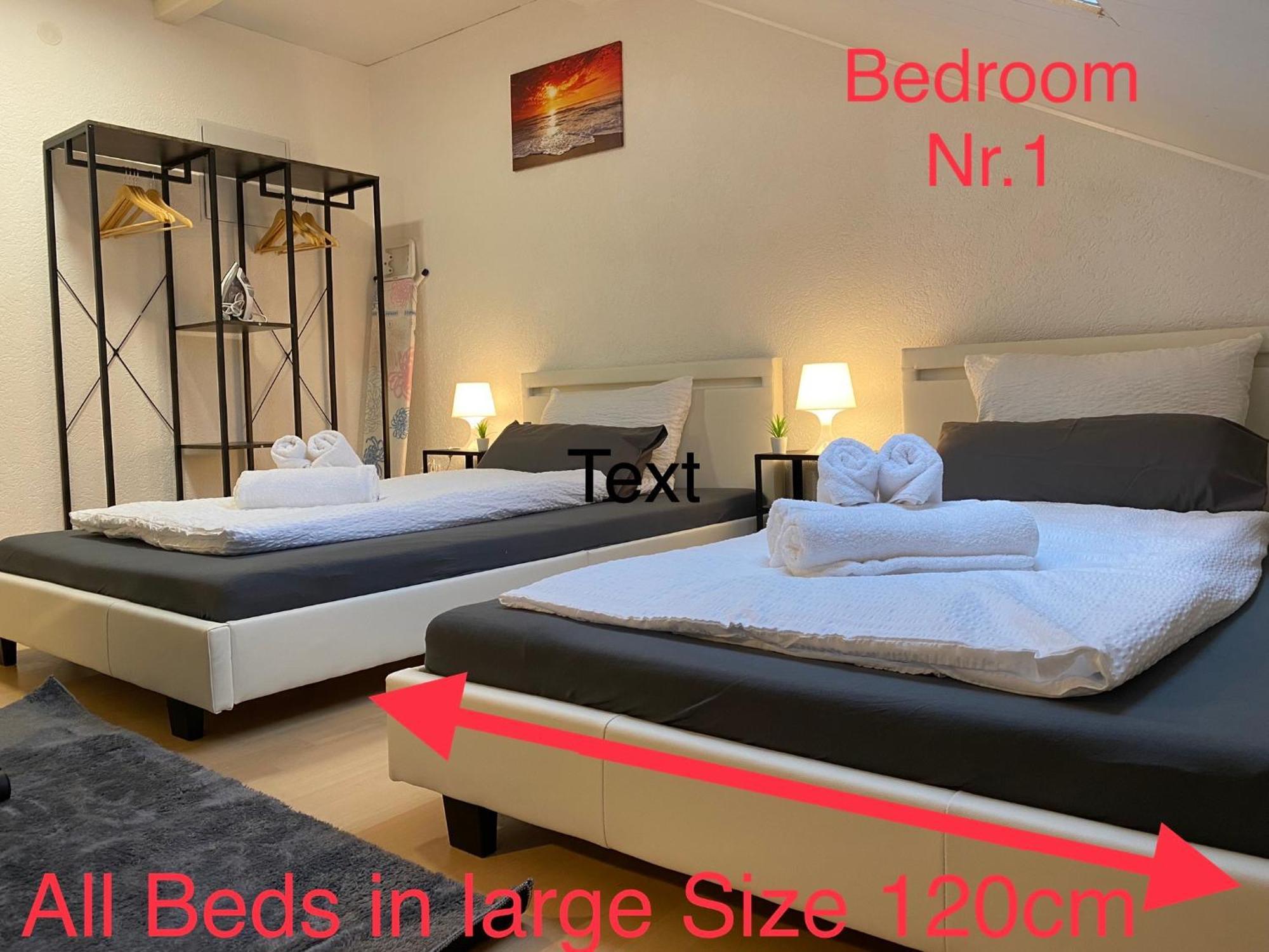 Deluxe Business Suite Mit Netflix Premium & Parkplatz, Zentral Zu Audi & Schwarz Gruppe With 2 Bedrooms Bad Friedrichshall Exteriör bild